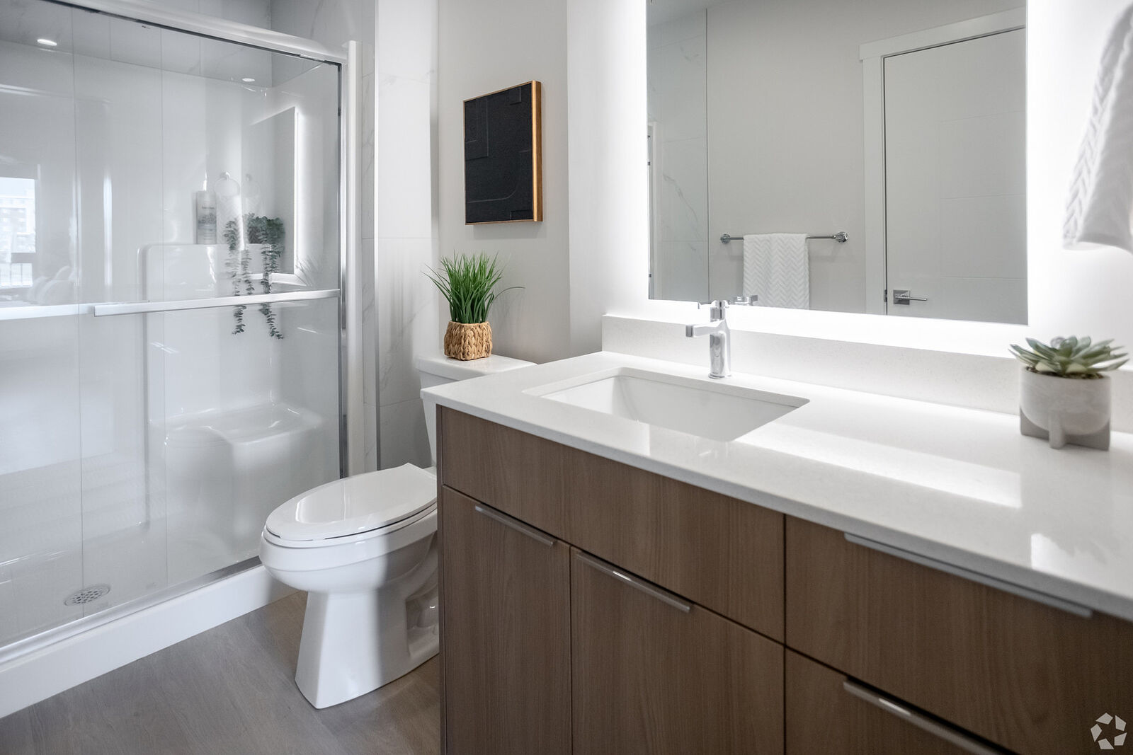 Rentfaster.ca Listing #731769
